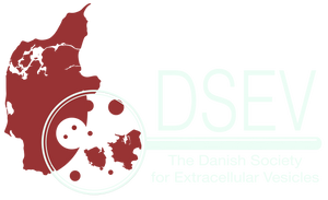 DSEV logo (Dark theme)